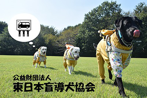 東日本盲導犬協会～クラウドファンディングへの挑戦～募金～